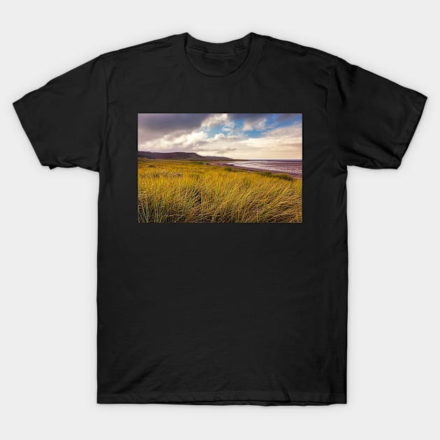 Whiteford Sands, Gower T-Shirt by dasantillo